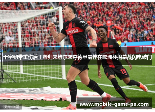 十字韧带重伤后王者归来维尔茨夺德甲最佳在欧洲杯揭幕战闪电破门