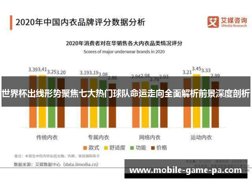 世界杯出线形势聚焦七大热门球队命运走向全面解析前景深度剖析