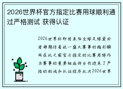 2026世界杯官方指定比赛用球顺利通过严格测试 获得认证